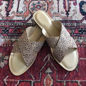 Loft animal print slide. Never worn in box